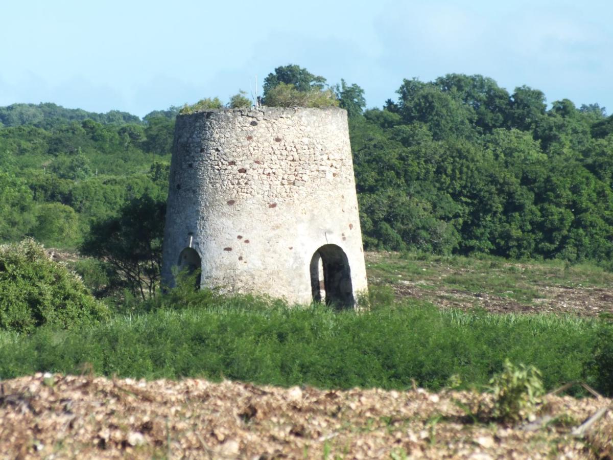 Villa Creolena Anse-Bertrand Kültér fotó